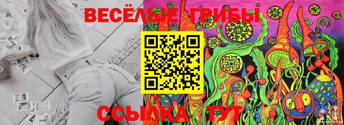 Псилоцибиновые грибы Psilocybe  Вход с VPN  Тимашёвск 